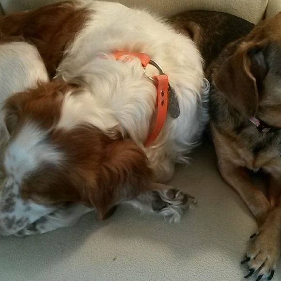 Meet your Posher, Gg - Picture 1 of 1